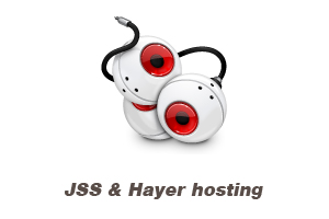 JSS & Hayer hosting - domain temp page